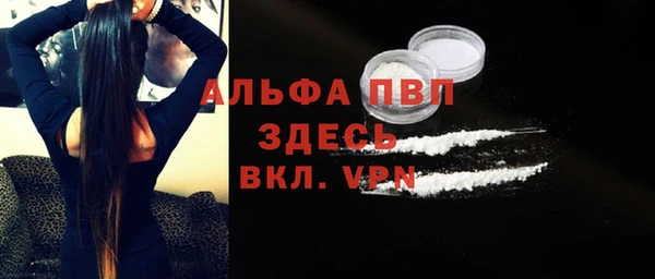 спиды Верея
