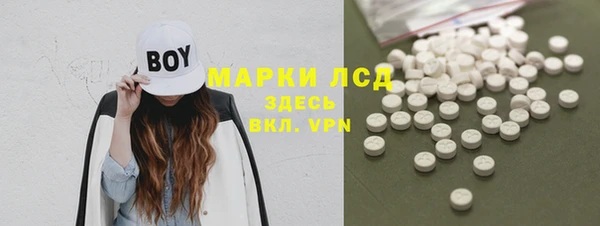спиды Верея