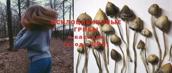 спиды Верея