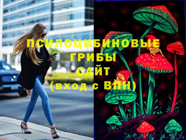 спиды Верея
