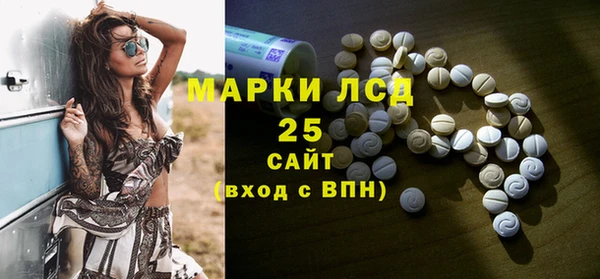 спиды Верея