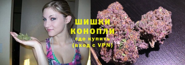 спиды Верея