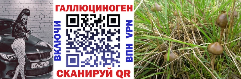 Псилоцибиновые грибы мухоморы  Купить  Мегион 