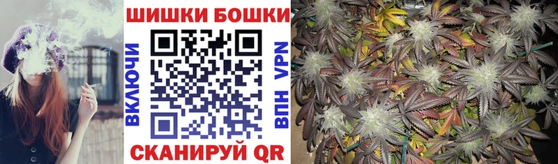 Бошки Шишки семена  Купить  Мегион 
